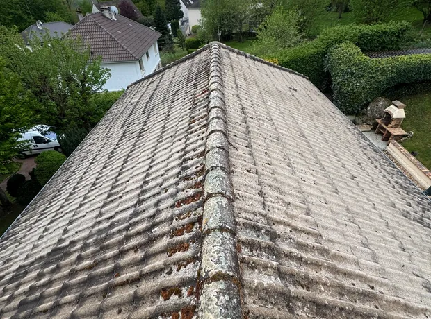 Toiture avec mousses et lichens avant traitement