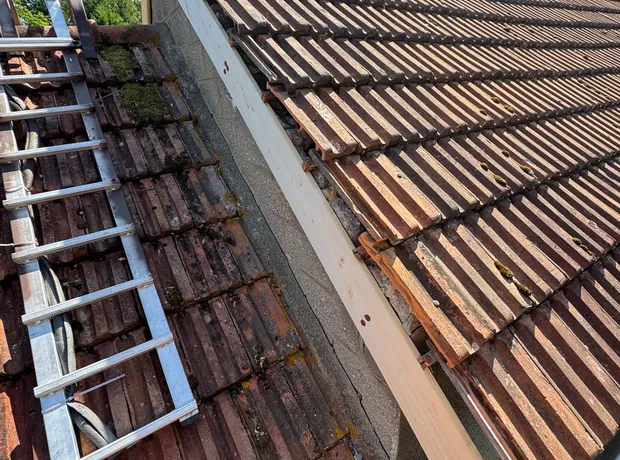 Chantier de traitement et protection de toiture